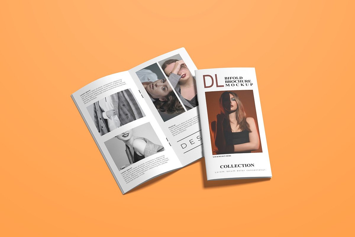 DL Brochure Mockup, a Books & Magazine Mockup by Lxadesign (Photo 10 of 12)