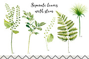Tropical leaves old pharmacy bottles, an Illustration by marie dricot (Thumbnail 9 of 12)