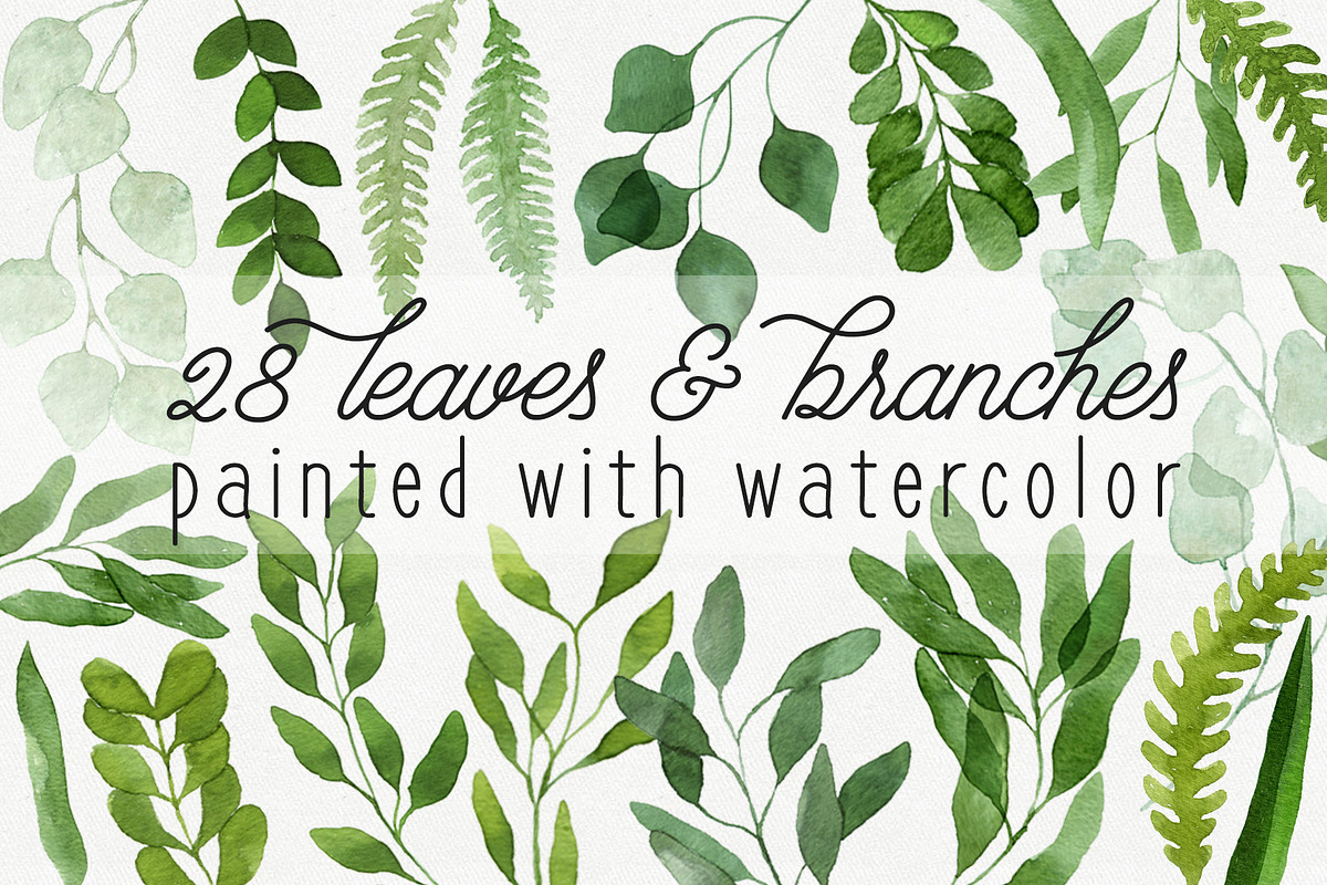 28 Watercolor Branches and Leaves, an Illustration by Helga Wigandt (Photo 1 of 3)