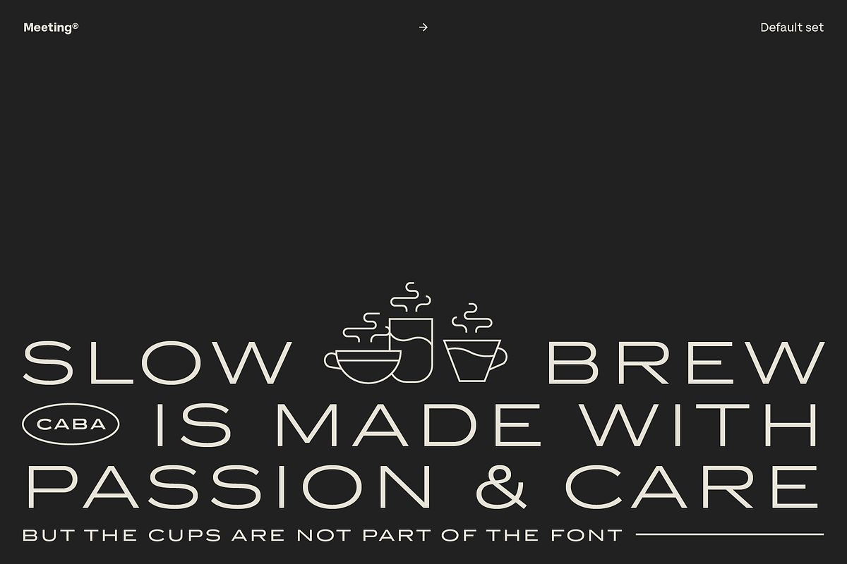 Meeting, a Sans Serif Font by Los Andes Type (Photo 7 of 11)