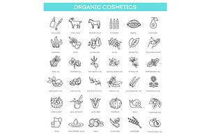 Vector set of natural ingredients, an Illustration by Tettygreen