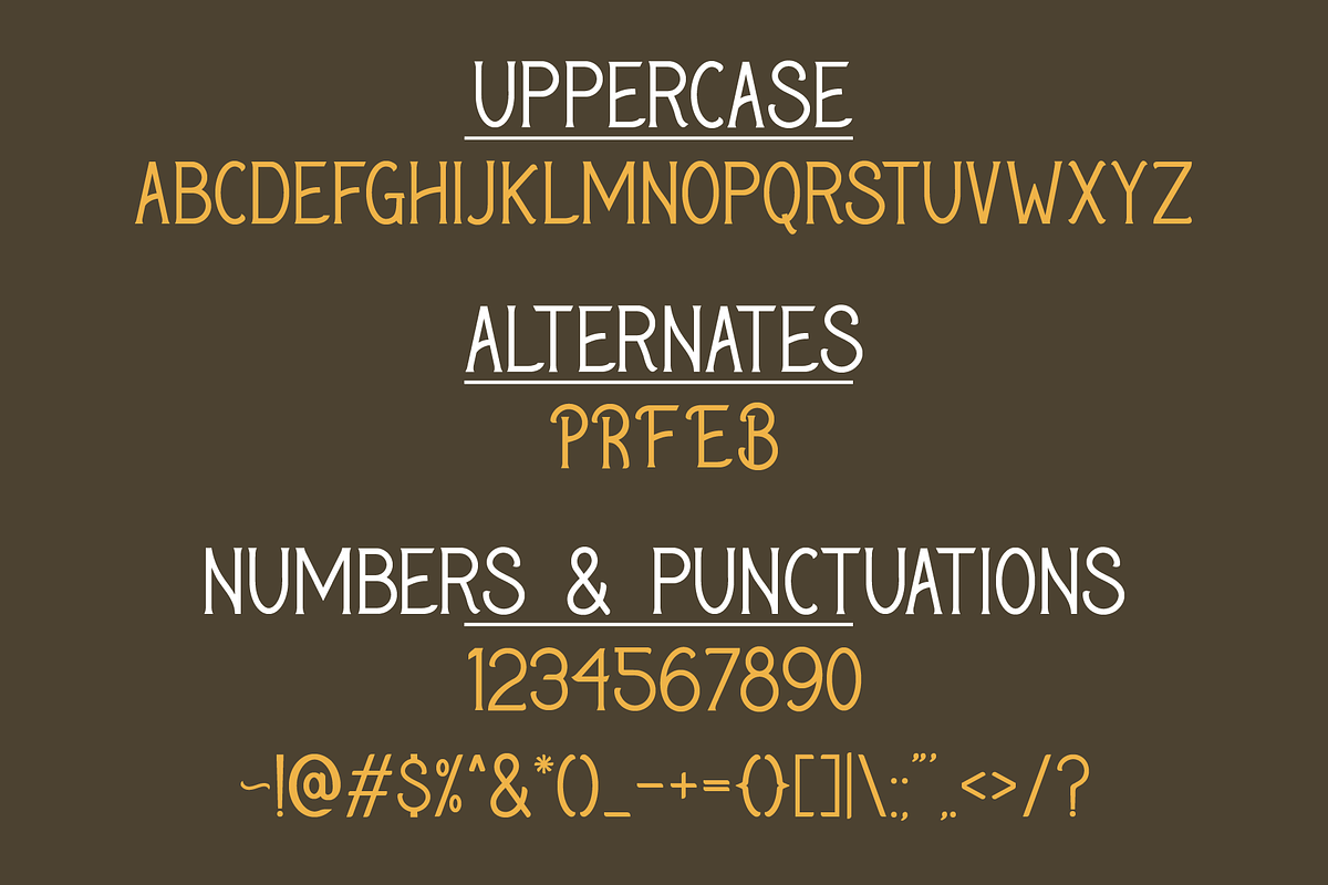 Roadside Pines - Vintage Serif, a Serif Font by The Forge Type Co (Photo 3 of 10)