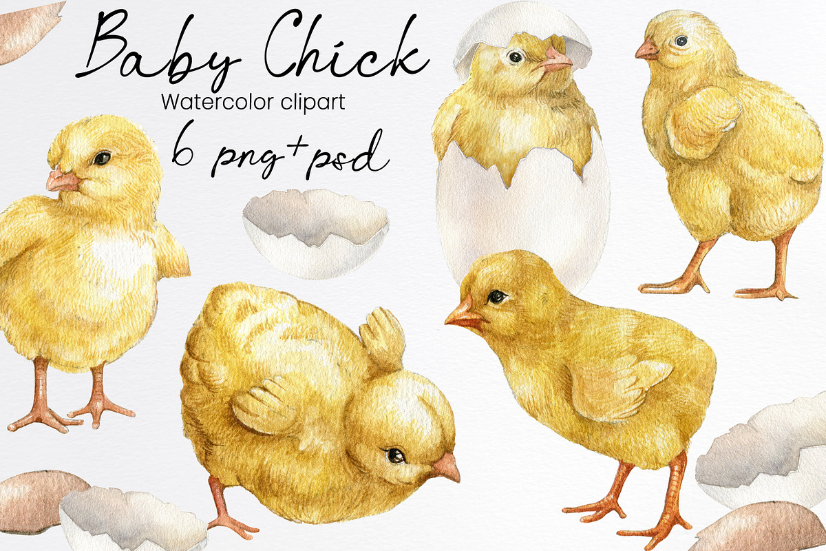 Watercolor easter chicken clipart, an Animal Illustration by yana.fefelova (Photo 1 of 4)