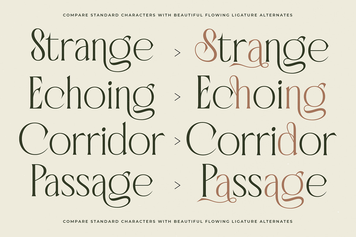 Badgeils Modern Alternate Serif, a Serif Font by timelesstype.co (Photo 10 of 20)