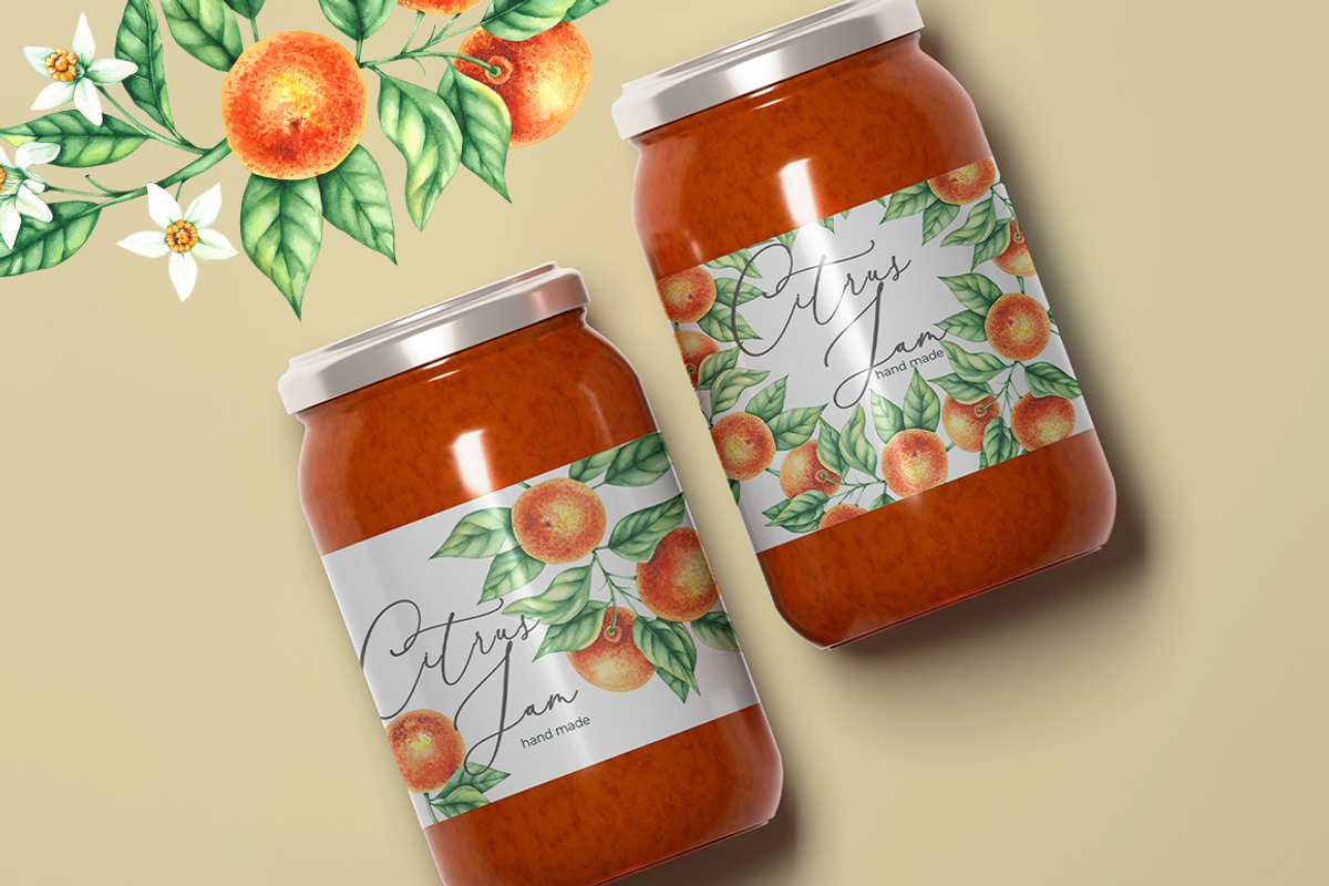 Tangerines Watercolor collection, a Decorative Illustration by SashaKondr (Photo 6 of 14)