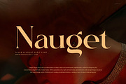 Nauget Elegant Serif Font, a Serif Font by Graphicxell (Thumbnail 1 of 8)
