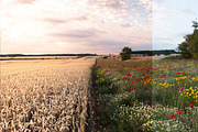 64 Lightroom Presets: Core Set, an Action Add-On by Frederick & Lightroom (Thumbnail 10 of 15)