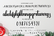 Christmas Eve, a Handwritten Font by FreshTypeINK (Thumbnail 4 of 7)