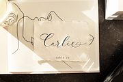Alysar | Delicate Calligraphy Font, a Script Font by KA Designs (Thumbnail 21 of 24)