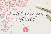 Pillowbook typeface + Extras!, a Script Font by Lisa Glanz (Thumbnail 2 of 5)