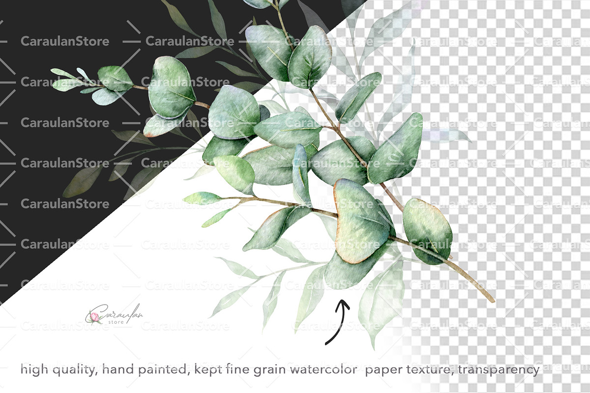 Eucalyptus Watercolor, an Object Illustration by CaraulanStore (Photo 13 of 19)