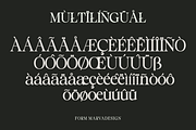 Staller - A Modern Beauty Font, a Serif Font by Marvadesign (Thumbnail 6 of 7)