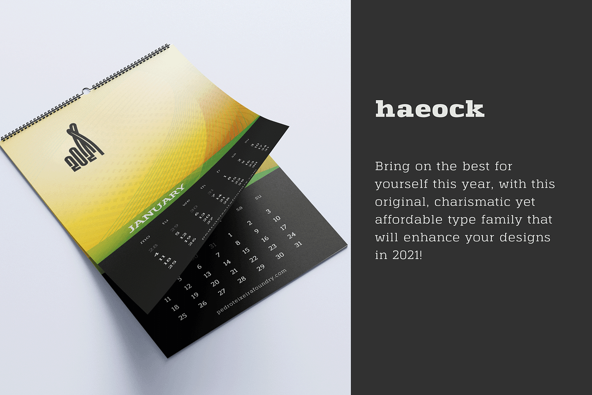 Haeock Family, a Slab Serif Font by vectalex (Photo 2 of 6)