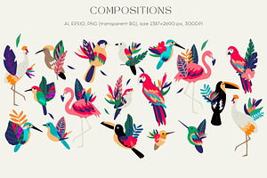 Exotic Birds Collection