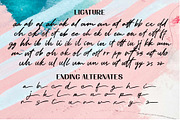Rose Flinch Duo, a Font by Astageni (Thumbnail 11 of 12)