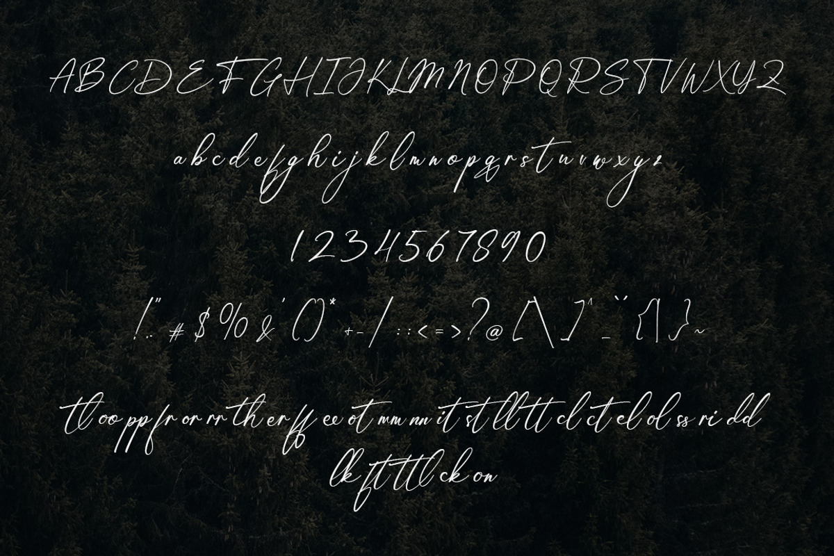 Florissant - Handwriting Font, a Script Font by Mayofont (Photo 7 of 7)