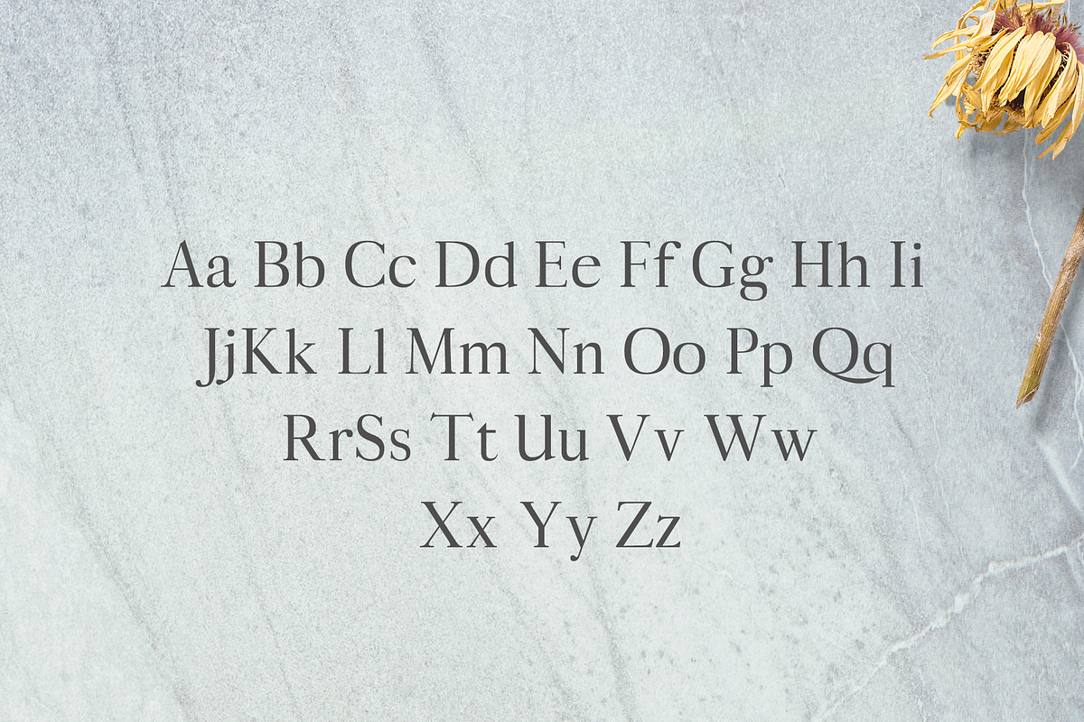 Aludra Serif 12 Font Family Pack preview 2