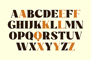 Rigam Complete Family, a Serif Font by Fitrah Type (Thumbnail 2 of 15)