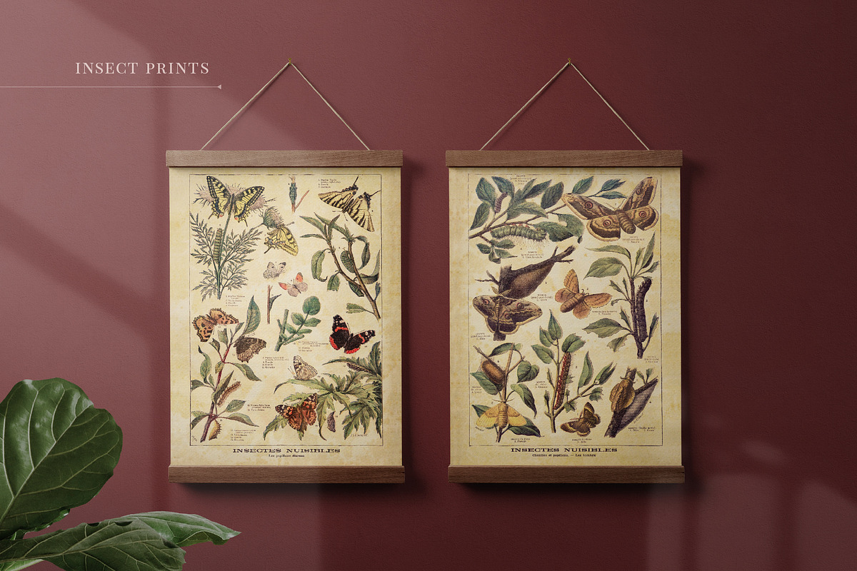 BUNDLE: 200 Vintage Art Prints, a Decorative Illustration by The Object Atlas (Photo 12 of 22)