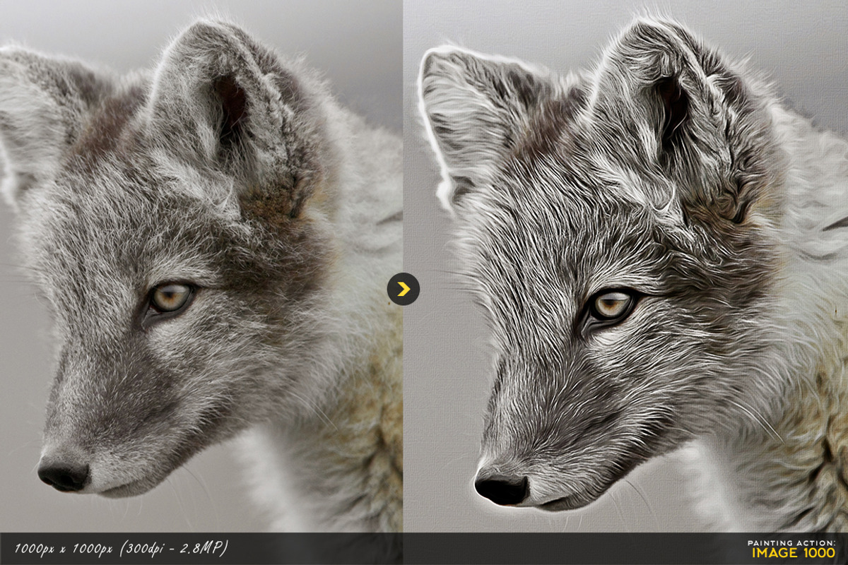 Painting Photoshop Action, an Action Add-On by Willa (Photo 8 of 11)