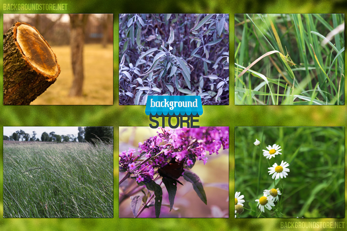 Nature Images Bundle preview 3