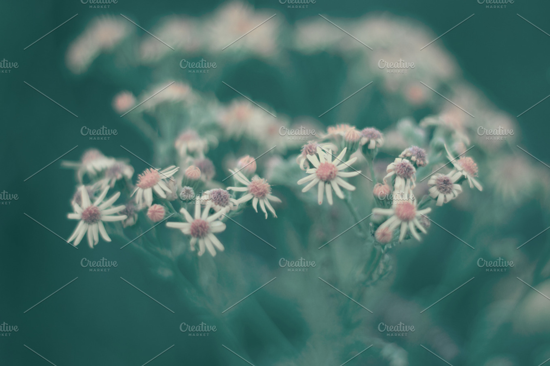 Spring Garden Stock Photograph