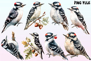 Downy Woodpecker Clipart,, a Graphic by CitraGraphics (Thumbnail 3 of 4)