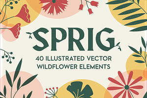 SPRIG: 40 Vector Wildflower Elements