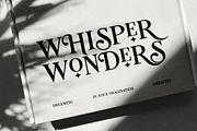Tiramisu Sausage Rolls Serif, a Serif Font by Viswell (Thumbnail 9 of 11)