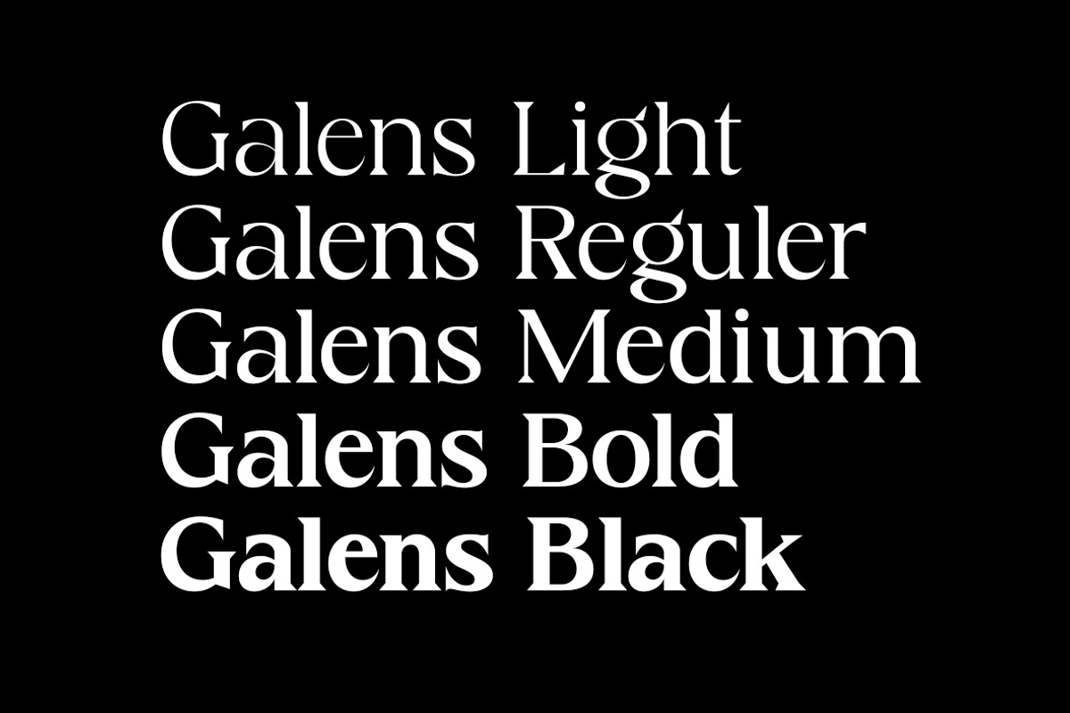Galens | Serif font family, a Font by InkwellTypeCo (Photo 5 of 11)