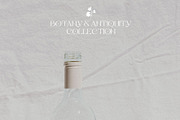 Botany & Antiquity Collection, an Object Graphic by Natali Batu (Thumbnail 11 of 20)
