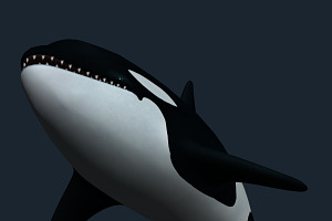 3DRT - Sealife - Orca