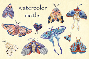 Watercolor Moths. PNG, JPEG