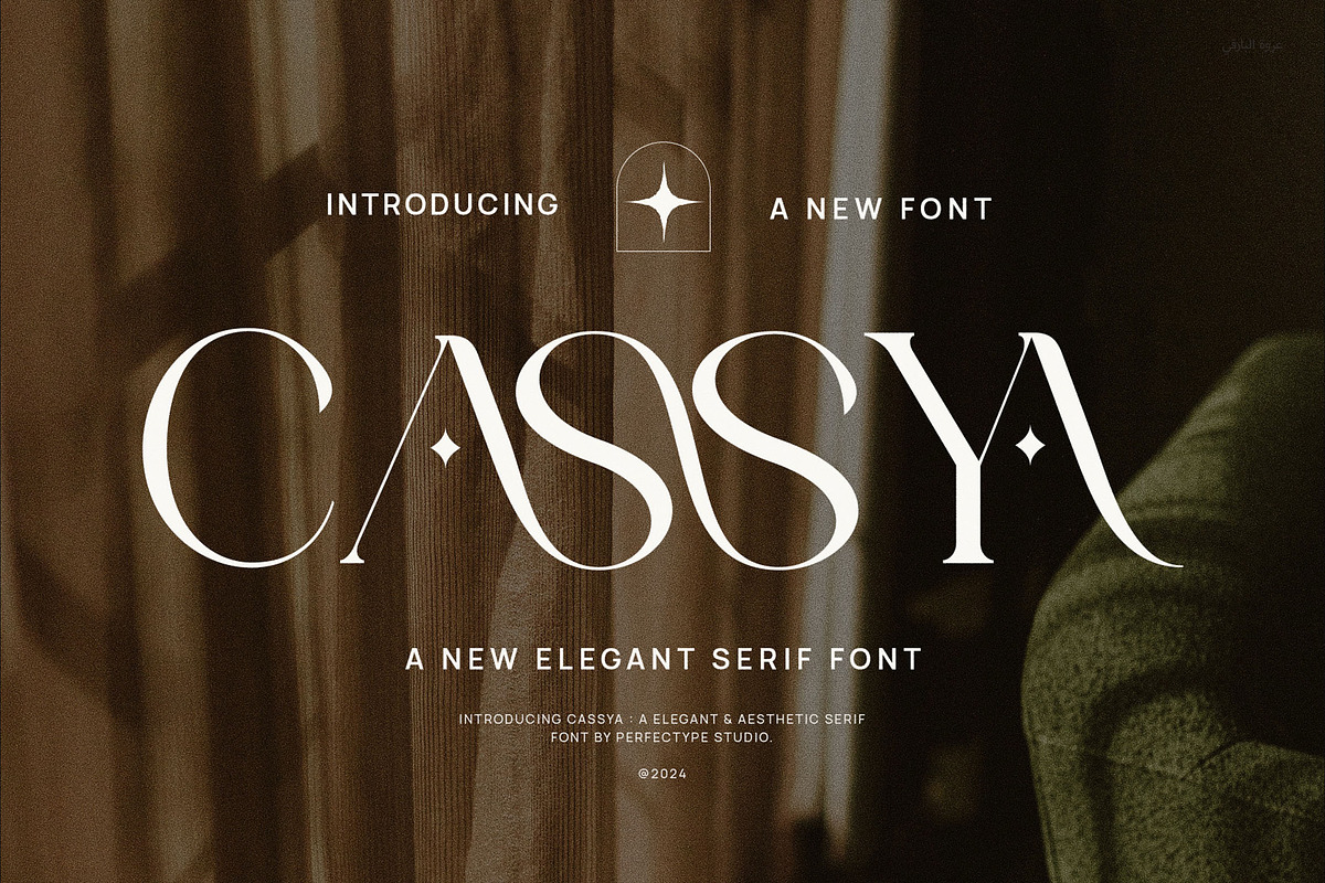 Cassya Elegant Ligature Serif Font T, a Serif Font by Perfectype (Photo 1 of 7)