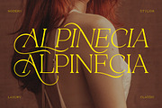 Alpinecia, a Serif Font by Pista Mova (Thumbnail 6 of 19)