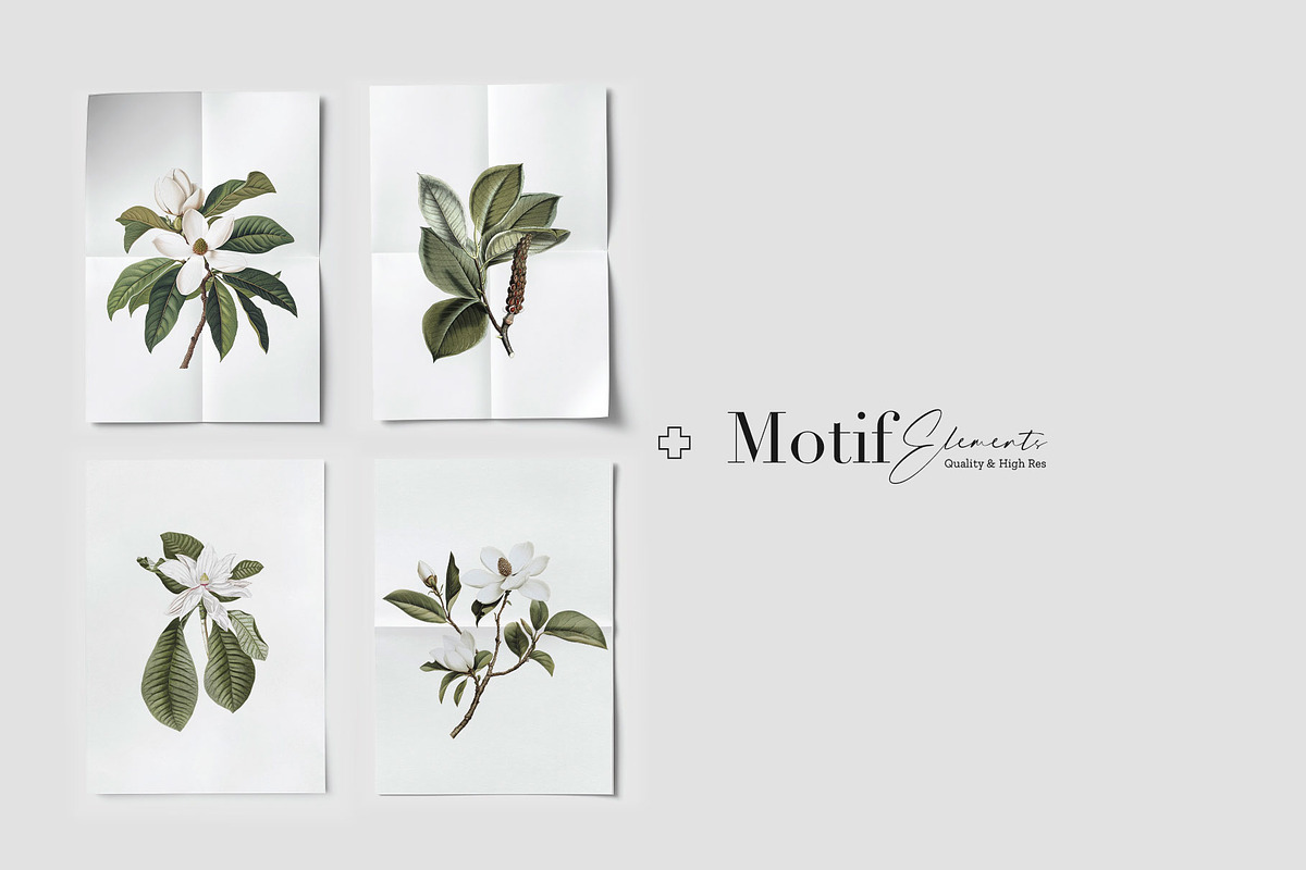 Mongnyeon, Luxury Magnolia Print!, a Pattern Graphic by Pink Linen (Photo 5 of 10)