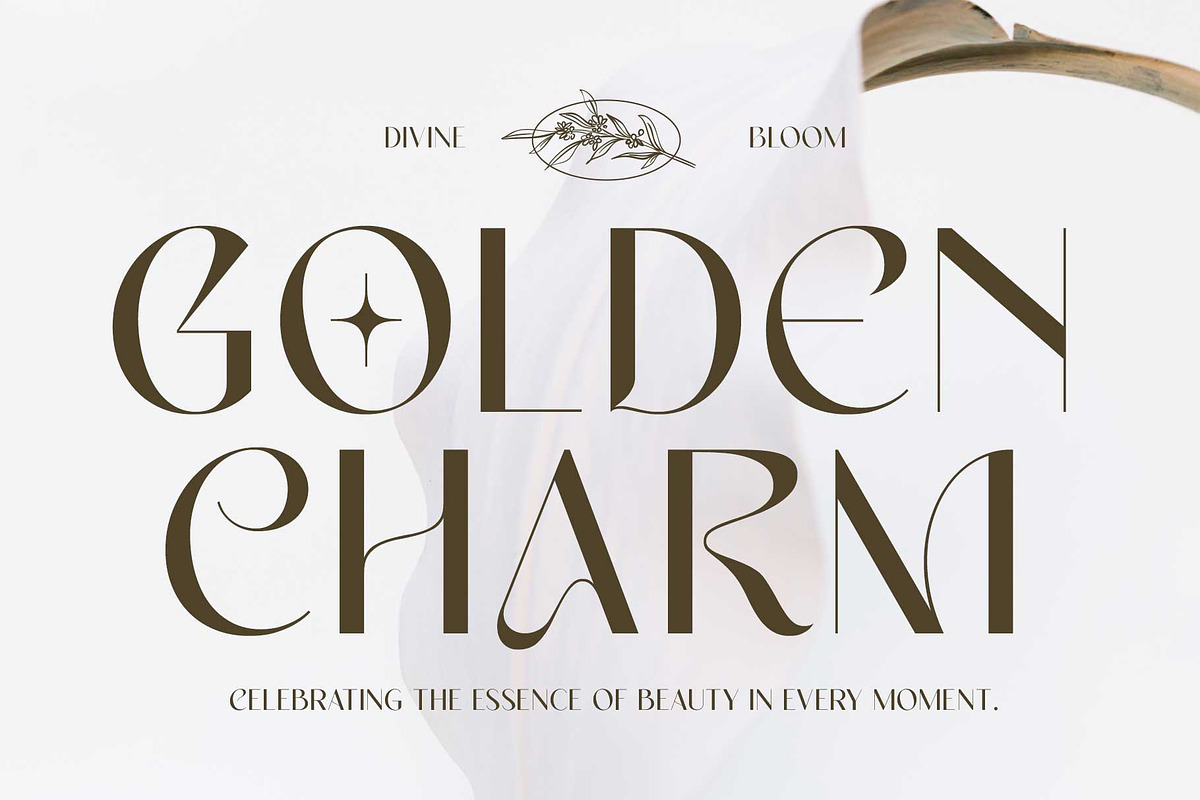 Elegant Sans - Miguela Verona, a Sans Serif Font by Novitype (Photo 2 of 12)