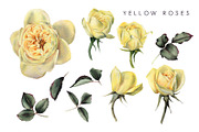 Summer Flowers, a Decorative Illustration by ollalya (Thumbnail 2 of 4)