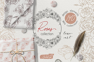 Rose Blossom