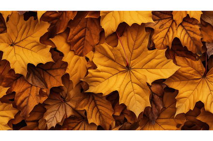 fall maple golden leaves close ai, a Nature Photo by pikepicture