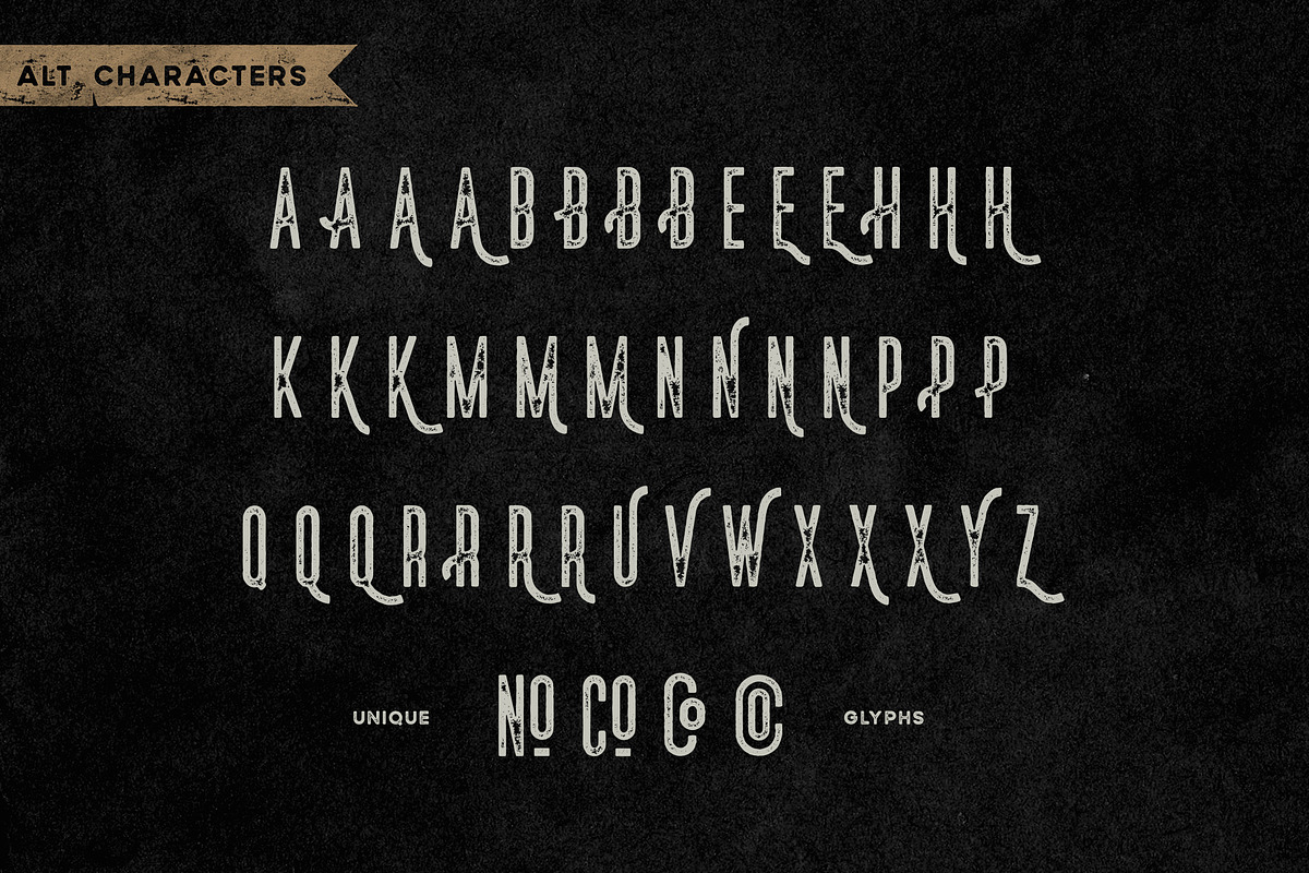 Norsten Vintage Condensed + Extras, a Sans Serif Font by Wandery Supply (Photo 10 of 14)