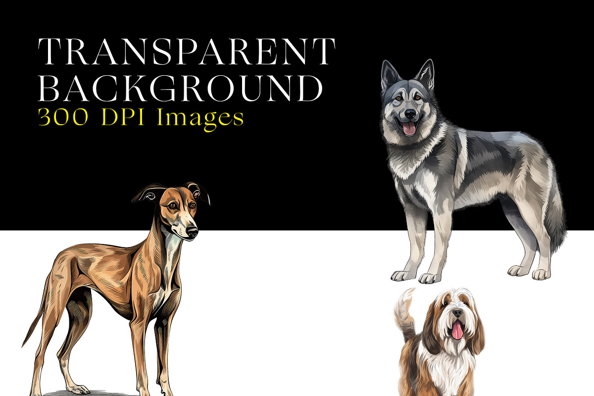 Hound Group Dogs Clipart Collection