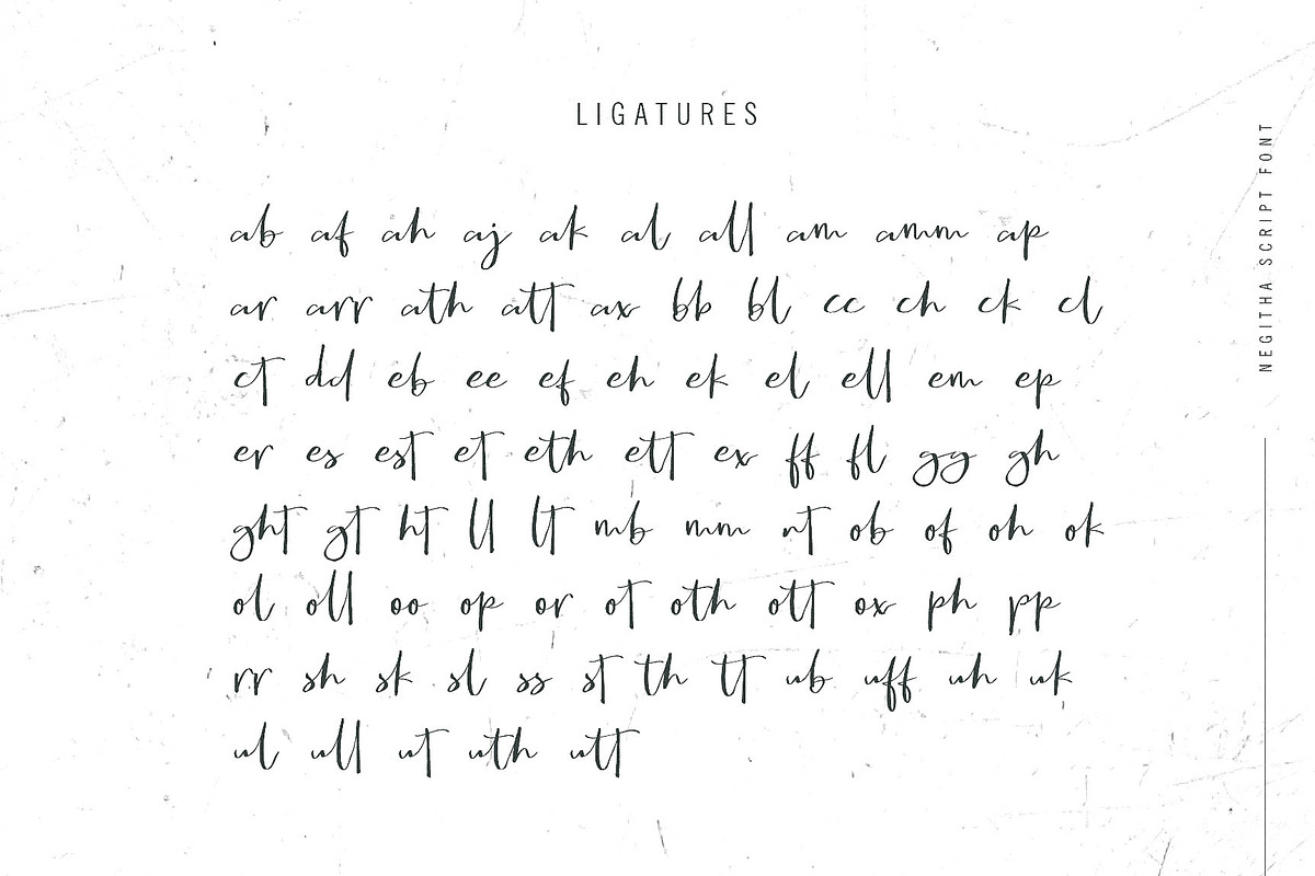 Negitha, a Script Font by Awanstudio (Photo 9 of 10)