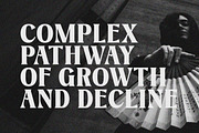 Chromes - Vintage Display Serif, a Serif Font by Godzillab (Thumbnail 10 of 12)