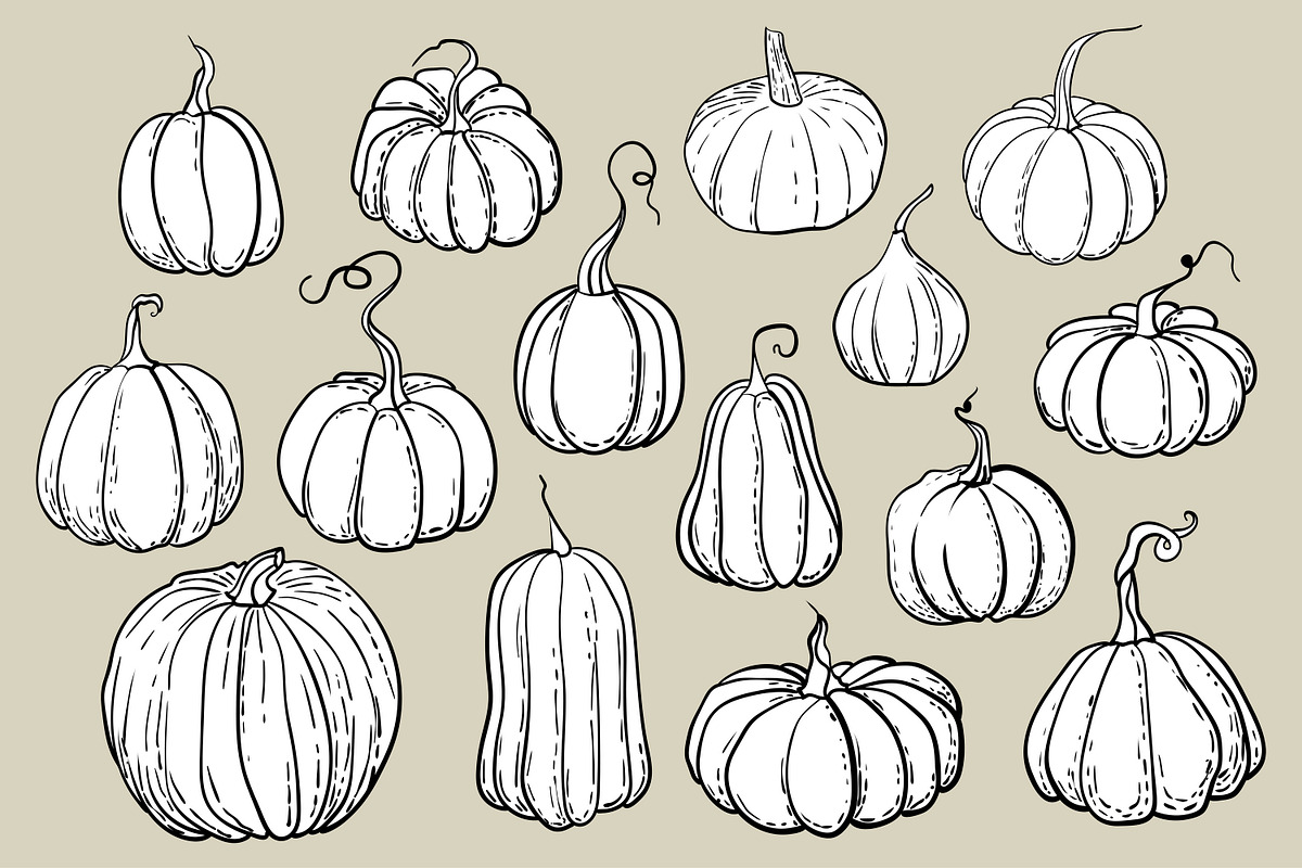 Pumpkins - vector clipart, a Seasonal Illustration by Glass Cat Design (Photo 10 of 10)