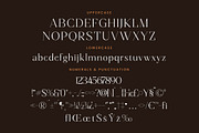 Magnetic Azuhster Minimalist Serif, a Serif Font by Letterena Studios (Thumbnail 13 of 15)