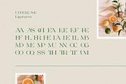 Milssky || Modern & Classy Ligature, a Serif Font by BrandSemut (Thumbnail 15 of 16)