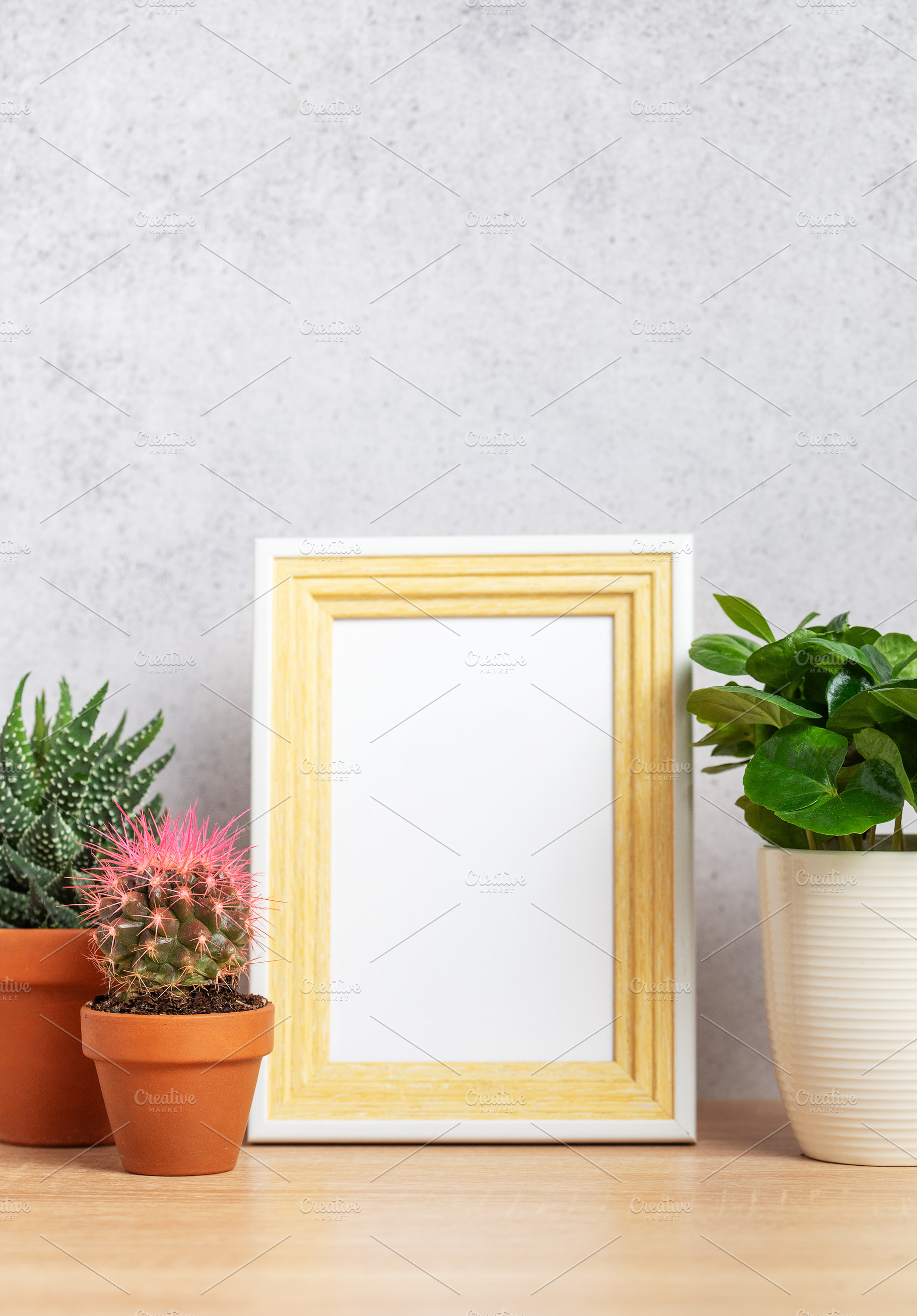 Decorative plants and empty frame on wooden shelf, a Nature Photo by Olena Rudo