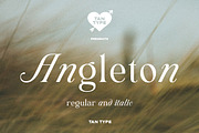 TAN - ANGLETON, a Serif Font by TanType (Thumbnail 1 of 16)