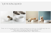 Pet Bowls PNG & PSD Mockups, a Product Mockup by mock-ups (Thumbnail 2 of 14)